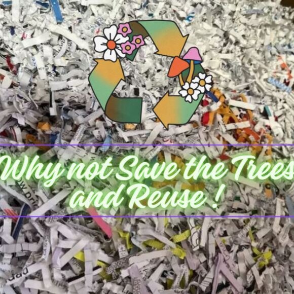 5 Pound of recycled shredded paper - Picture 1 of 1